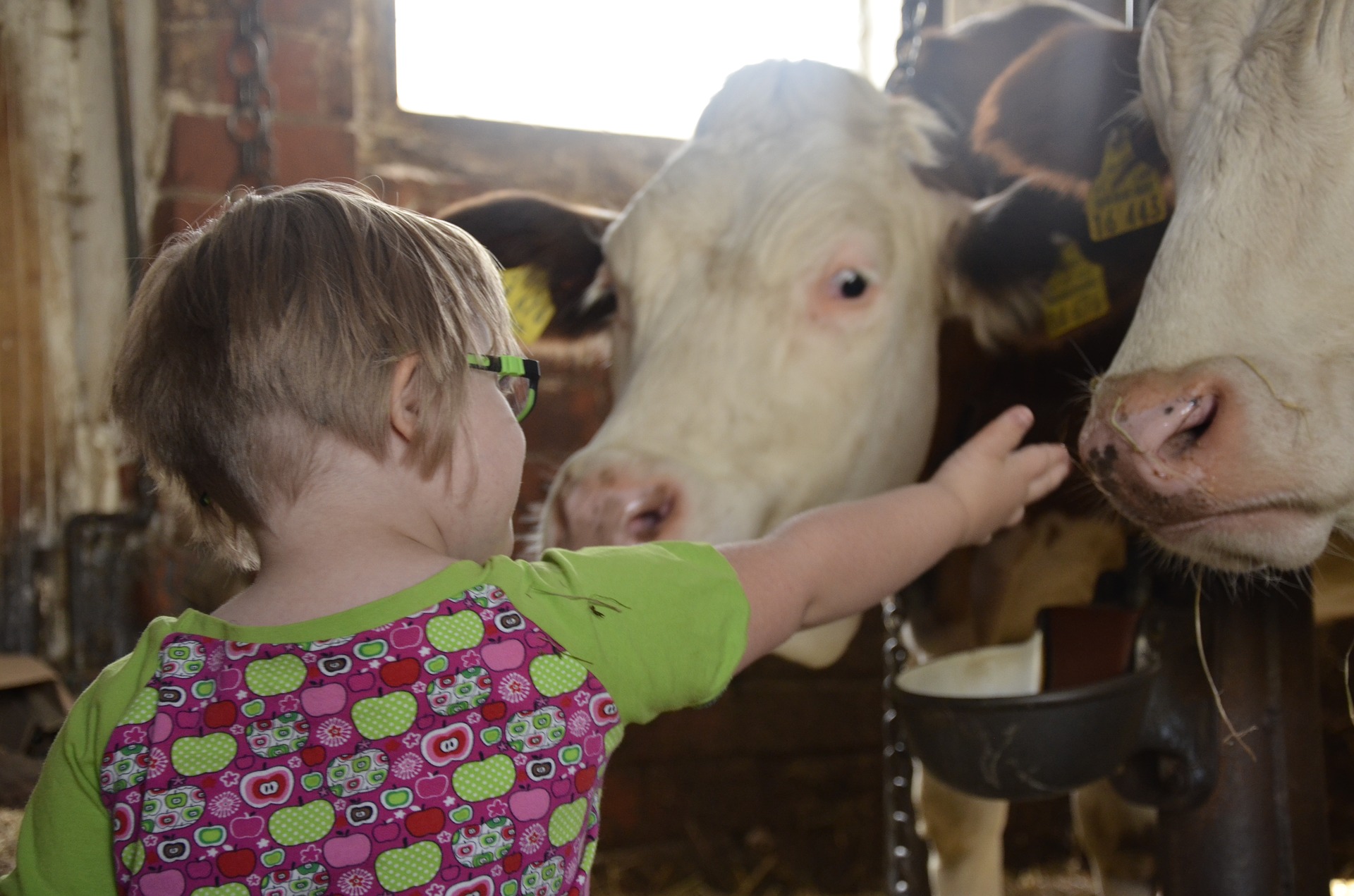 Children with disabilities