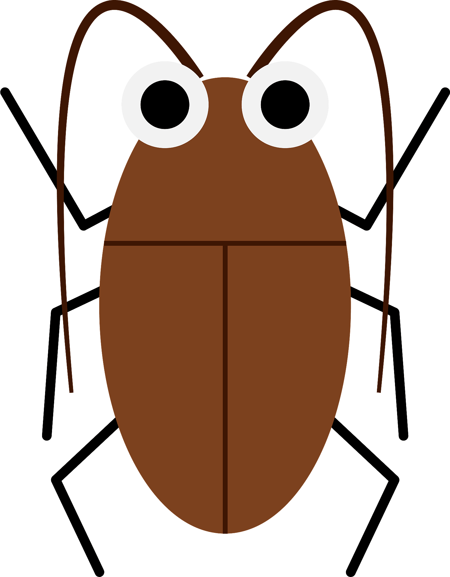 interesting facts about cockroaches